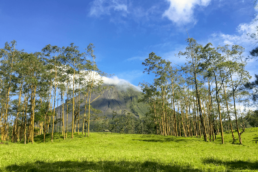 volcán arenal