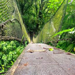 puente colgante en costa rica