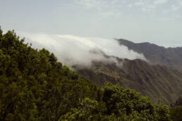 Qué tener en cuenta si visitas el bosque de Anaga, en Tenerife