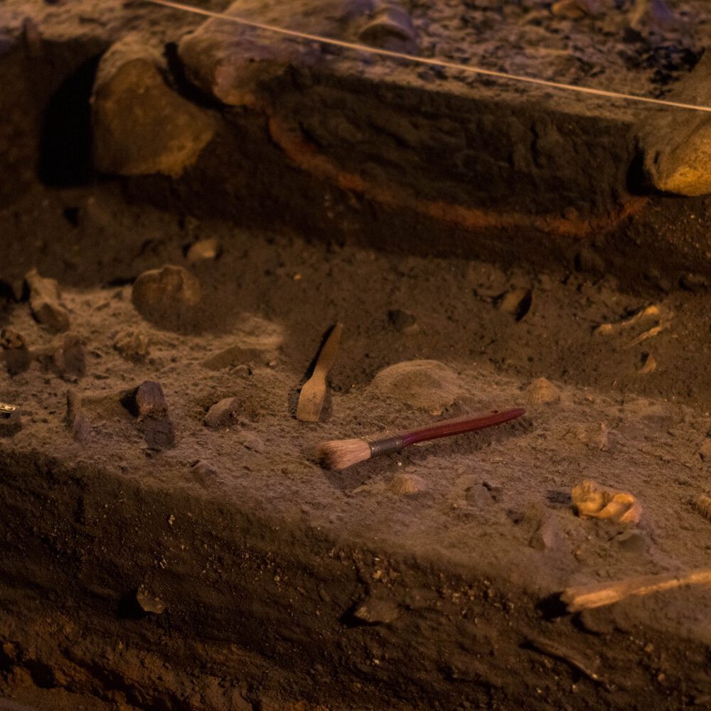 Excursiones a cuevas prehistóricas de Cantabria