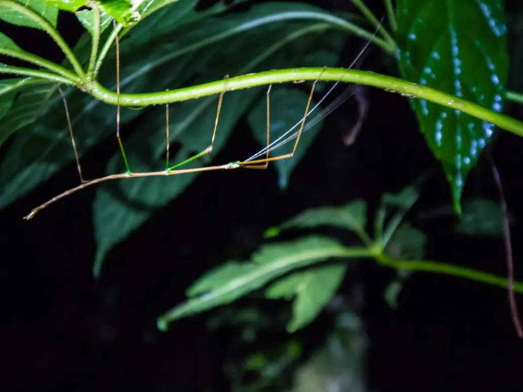 Guía para viajar a Costa Rica por libre