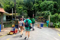 Un grupo de amigos camina hacia el interior del Parque Nacional Manuel Antonio de Costa Rica