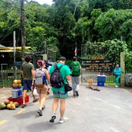 Un grupo de amigos camina hacia el interior del Parque Nacional Manuel Antonio de Costa Rica