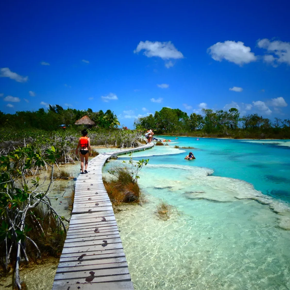 Bacalar