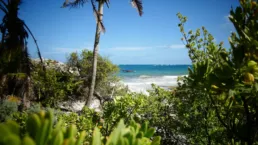 Una playa caribeña en México con una lancha llegando a la costa