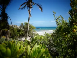 Una playa caribeña en México con una lancha llegando a la costa