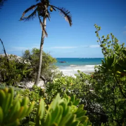 Una playa caribeña en México con una lancha llegando a la costa