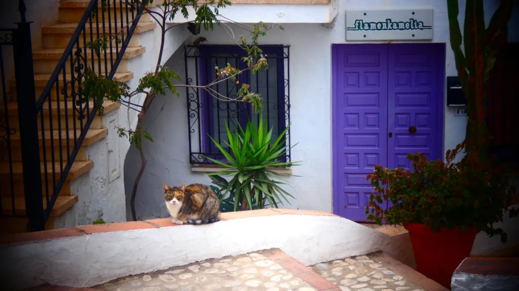 Dónde dormir en Frigiliana