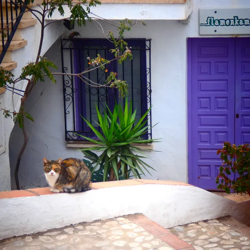Dónde dormir en Frigiliana