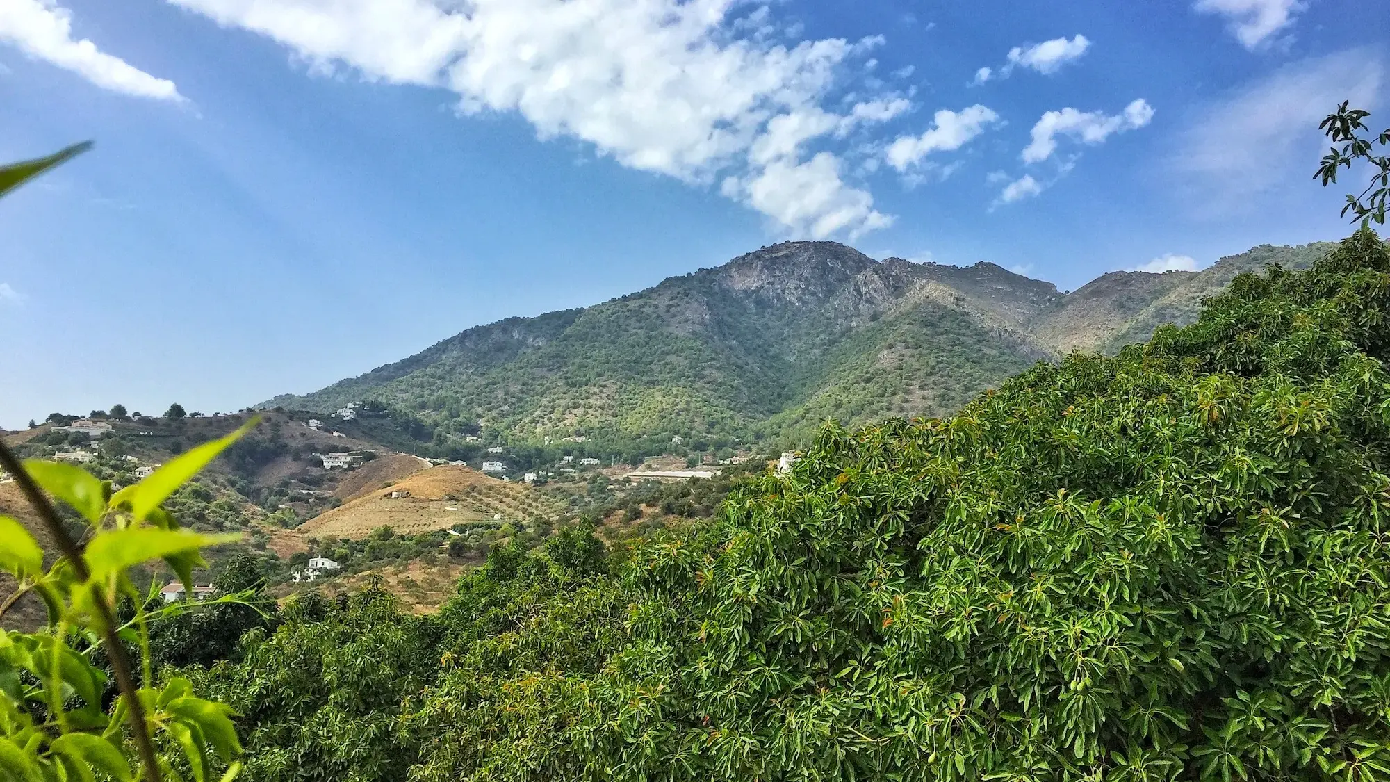 rutas senderismo frigiliana