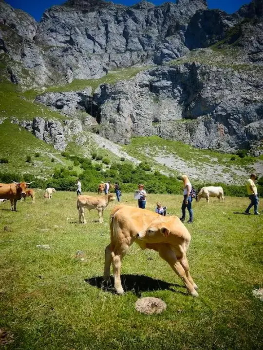 gu&iacute;a para viajar a Cantabria por libre