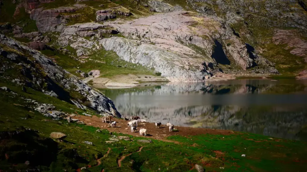 ruta pirineo aragon&eacute;s
