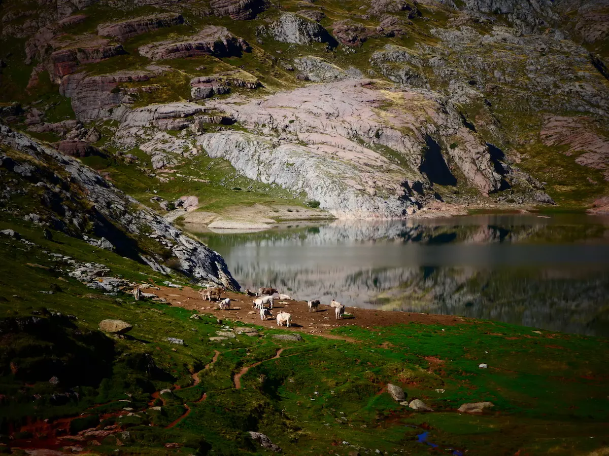 ruta pirineo aragonés