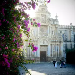 Qué ver en Jerez de la Frontera en un día