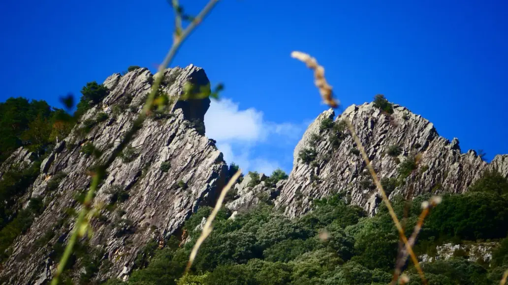 Ca&ntilde;&oacute;n de A&ntilde;isclo