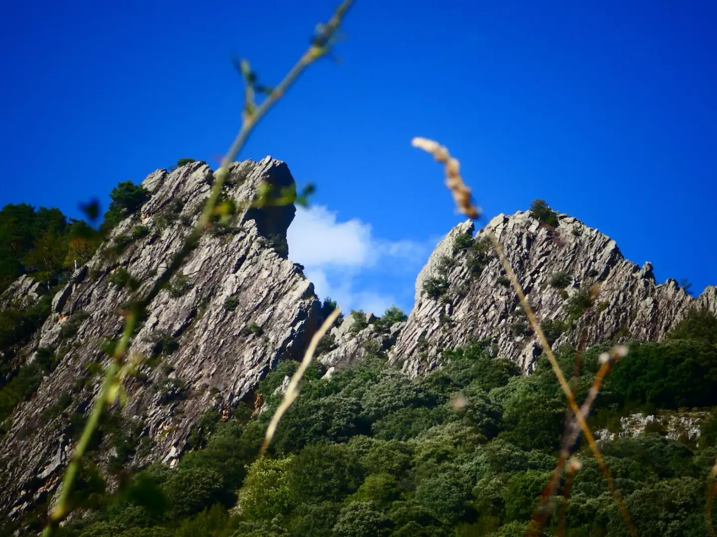 Cañón de Añisclo