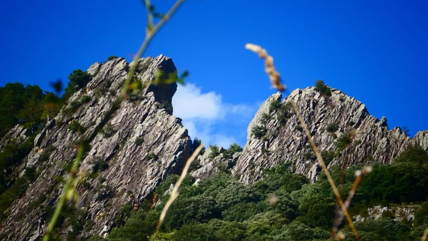 Cañón de Añisclo