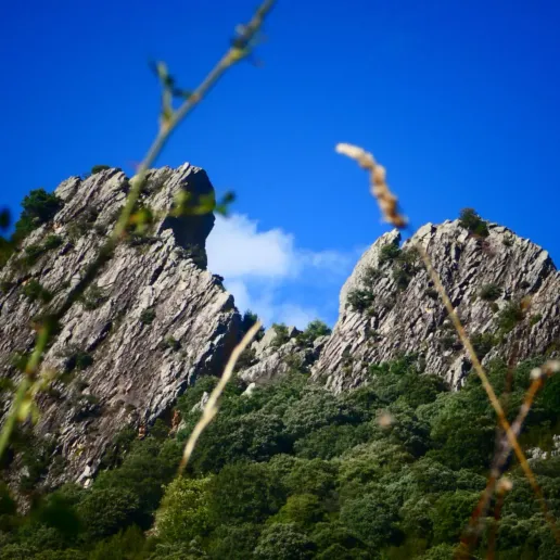 Cañón de Añisclo