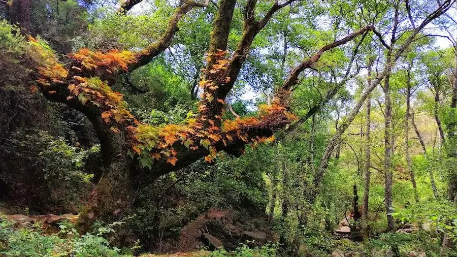 12 rutas de senderismo en Andalucía