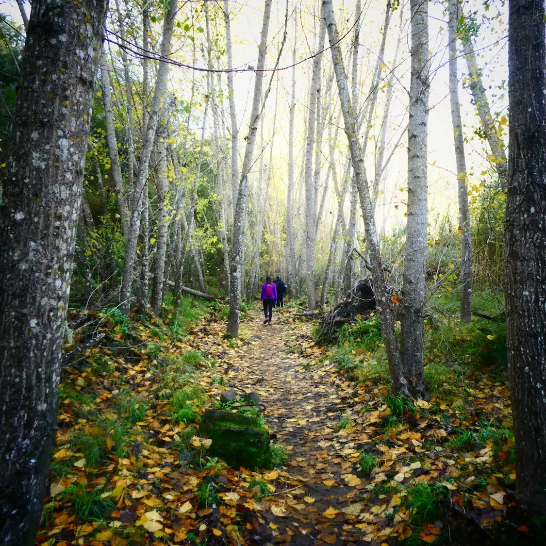 rutas de senderismo en andalucía