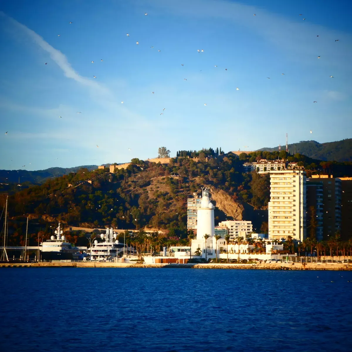 mejores zonas de malaga para vivir