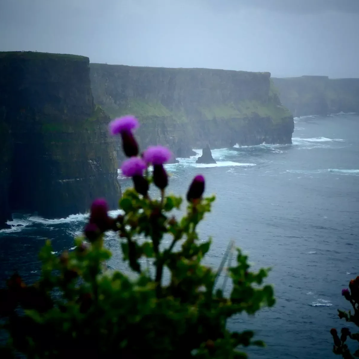 Acantilados de Moher en Irlanda