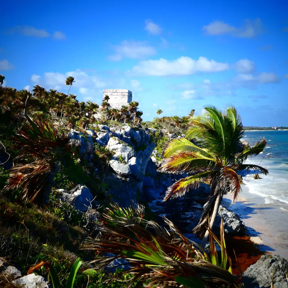 ruinas de tulum en méxico