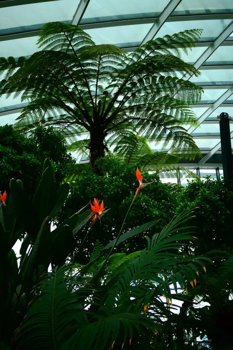 Sky Garden