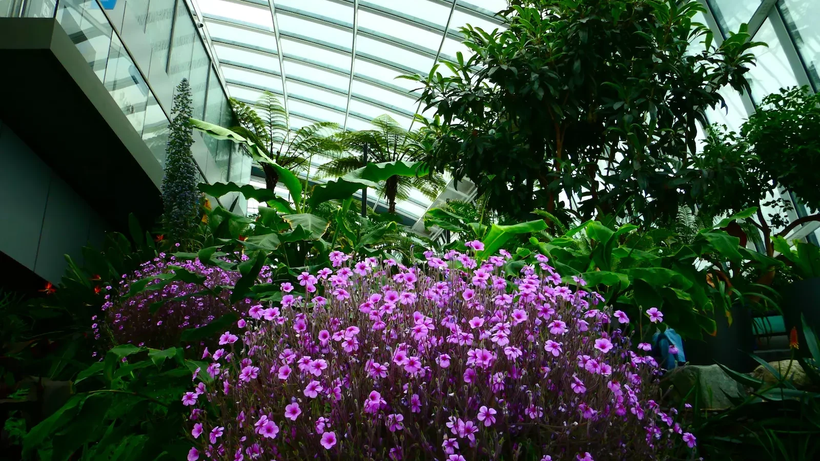 Sky Garden