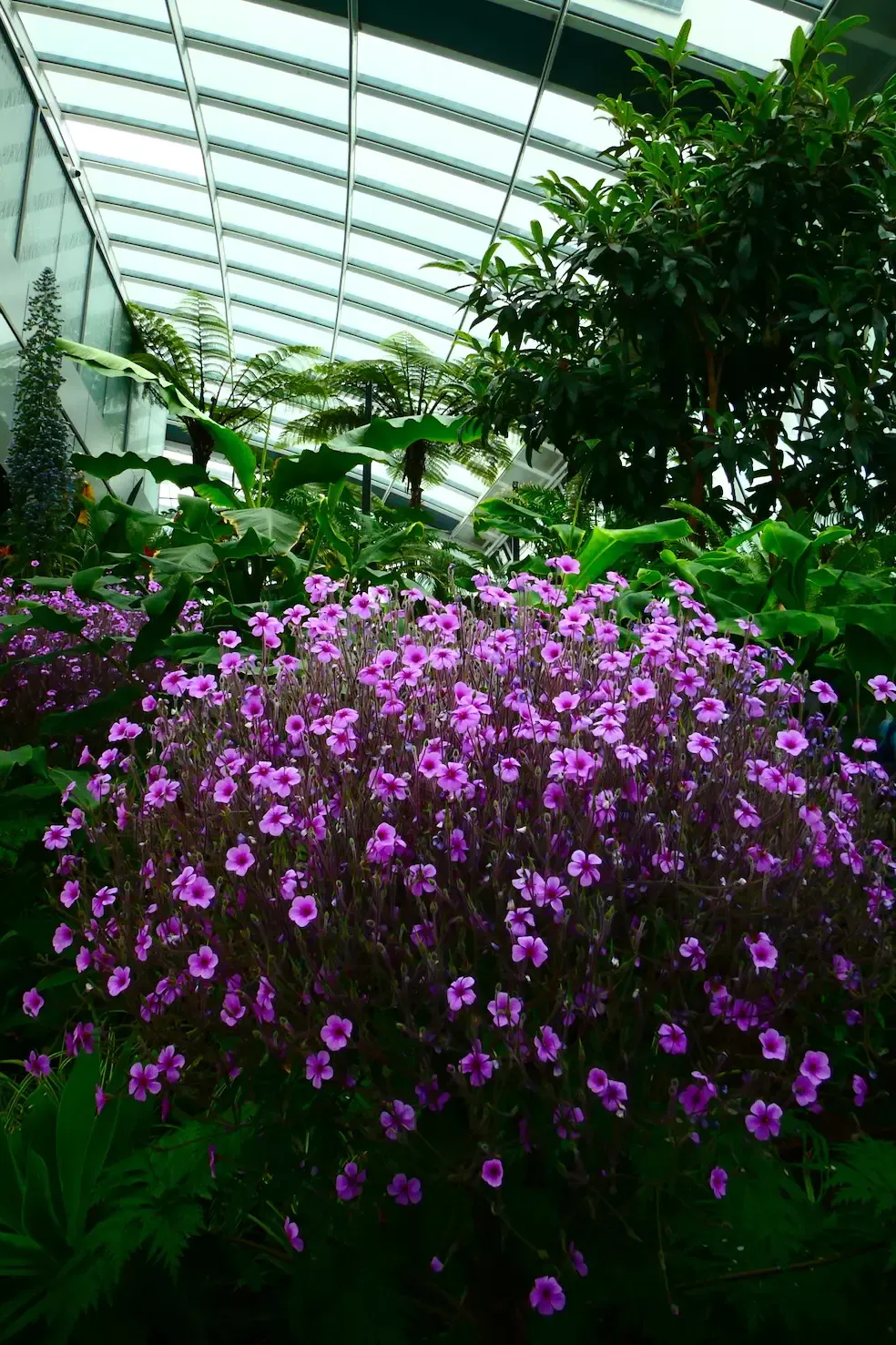 Sky Garden