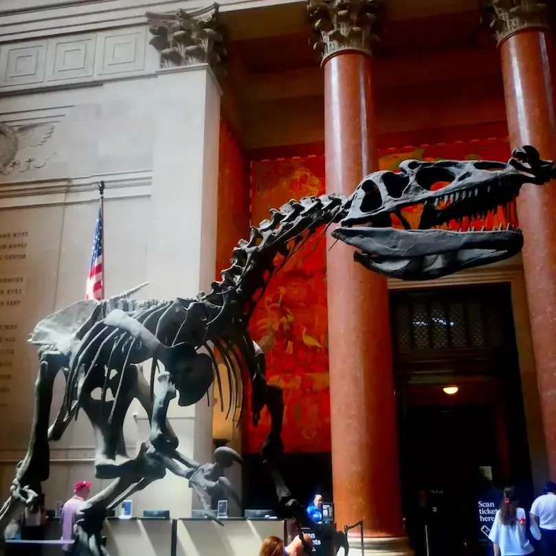 Museo de Historia Natural de Nueva York