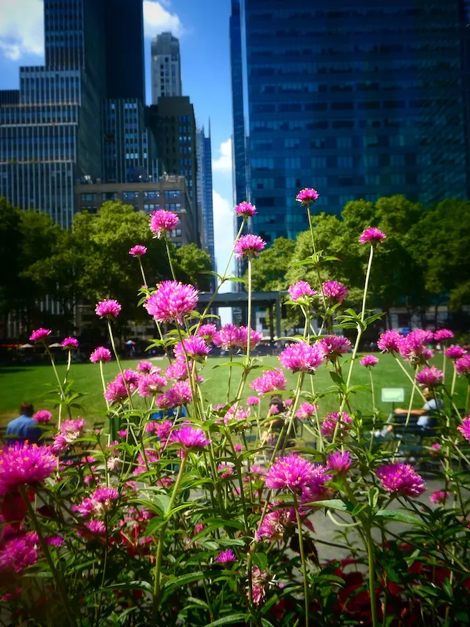 nueva york en 7 días