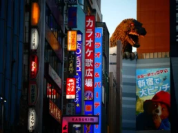 viajar a japón