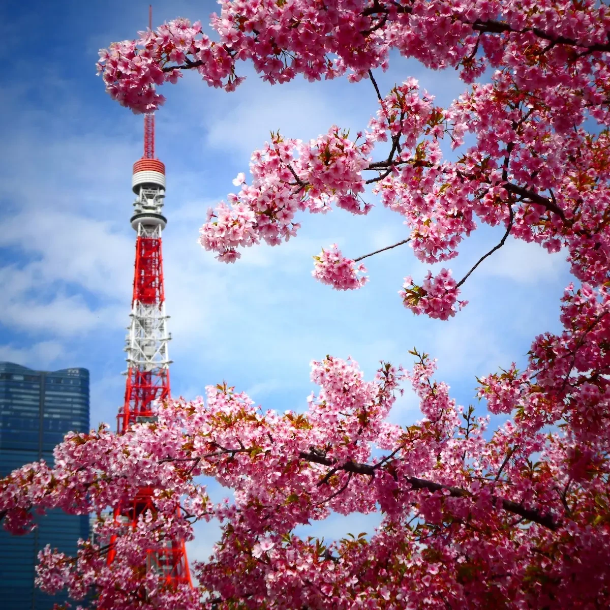 Mejor época para viajar a Japón