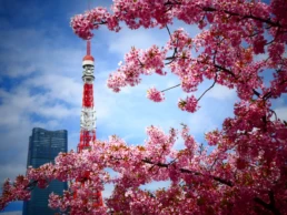Mejor época para viajar a Japón