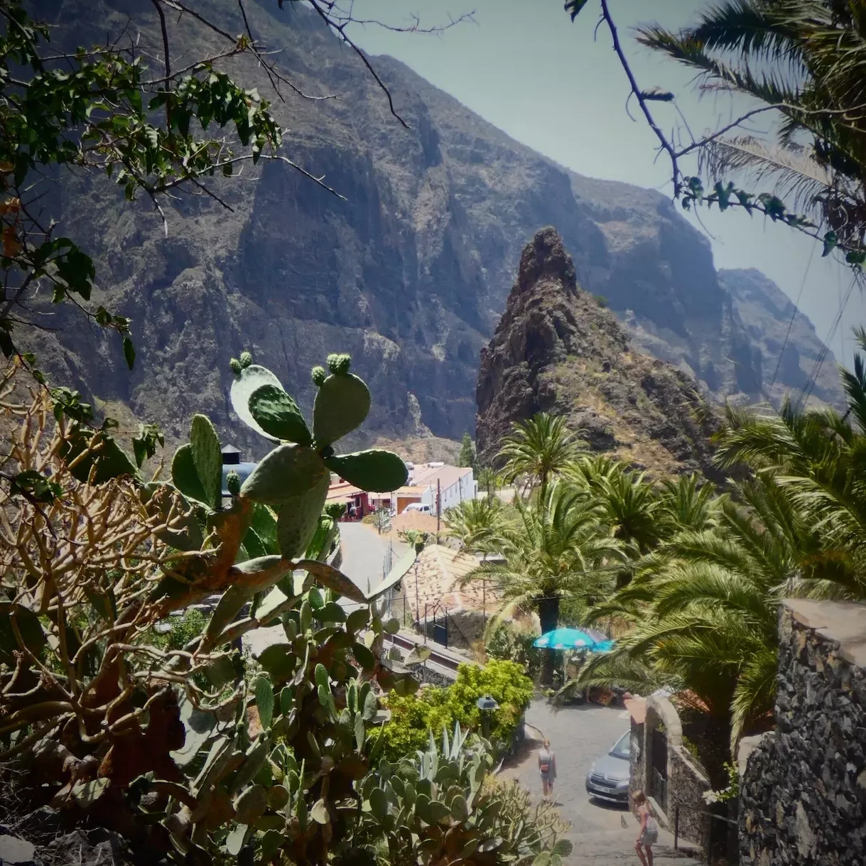 mejores zonas de Tenerife