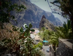 mejores zonas de Tenerife
