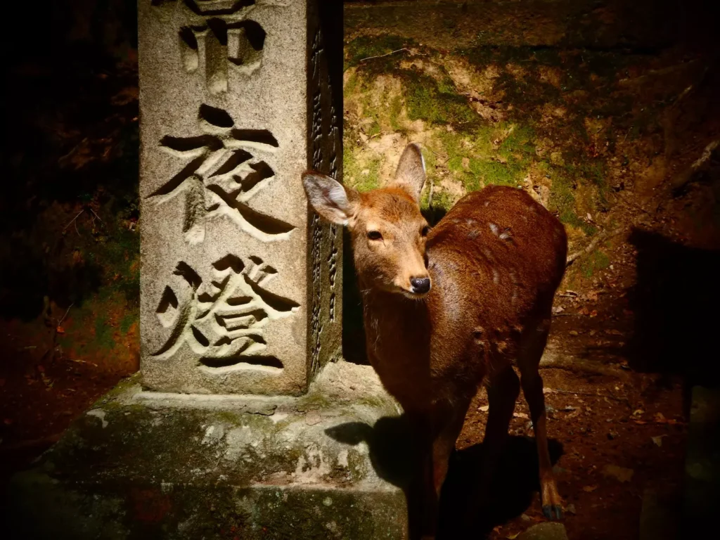 Qué ver en Nara