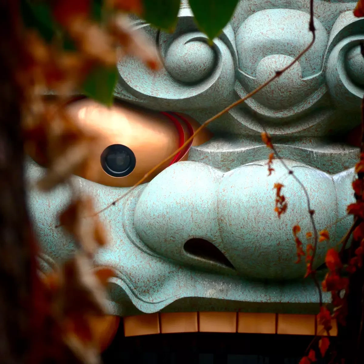 Seguro de viaje a Japón