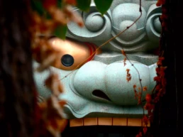 Seguro de viaje a Japón