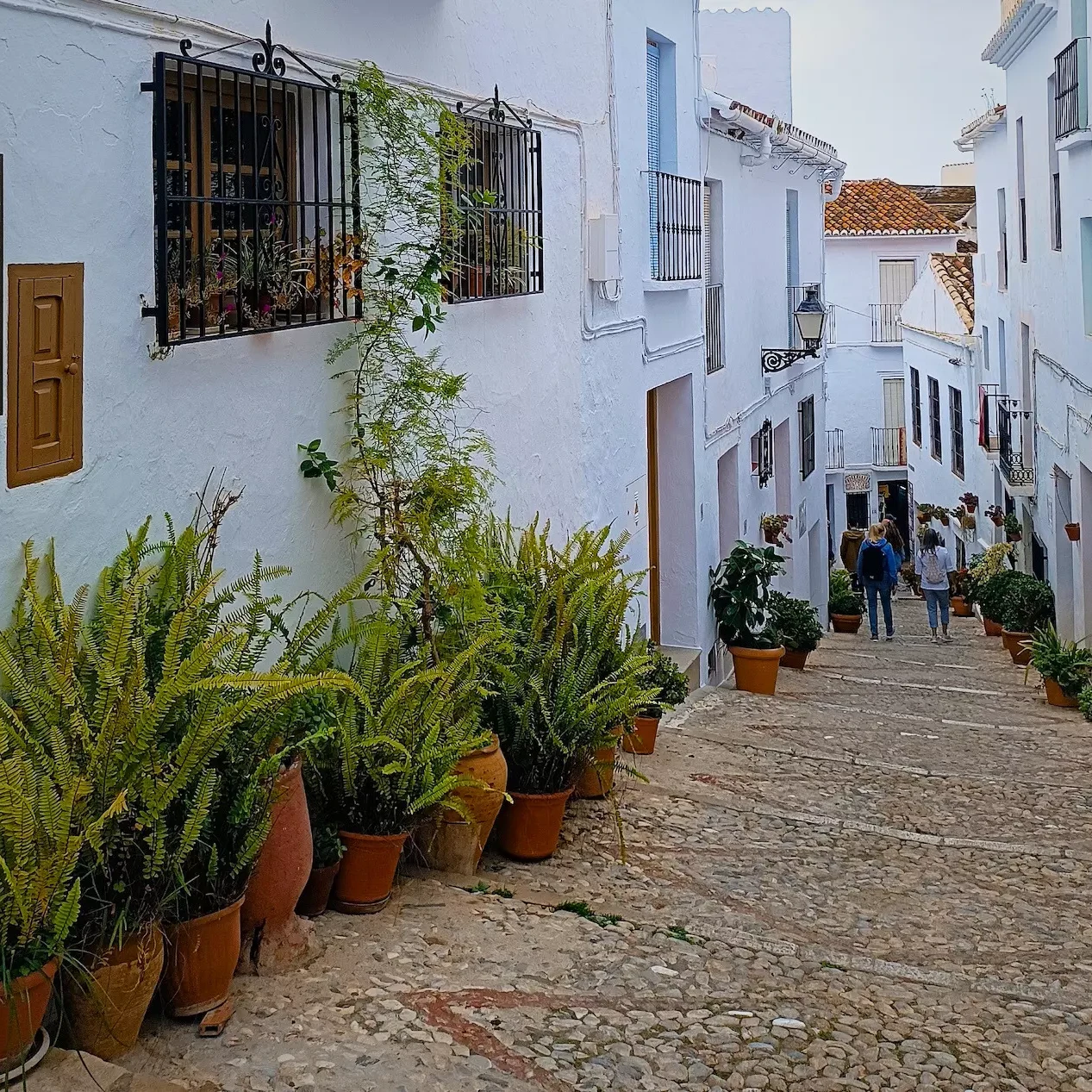 Programa 28 agosto Festival 3 Culturas