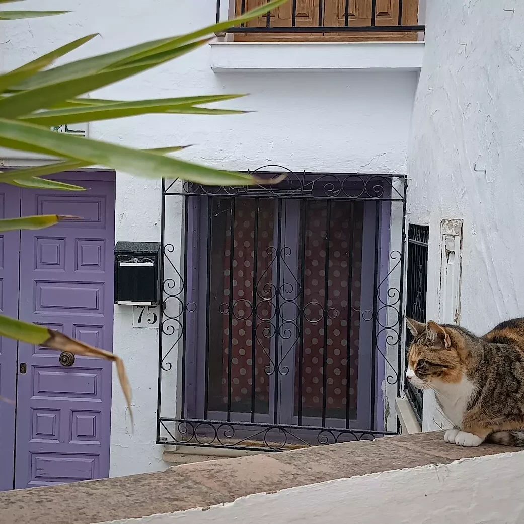 Programa 30 agosto Festival 3 Culturas