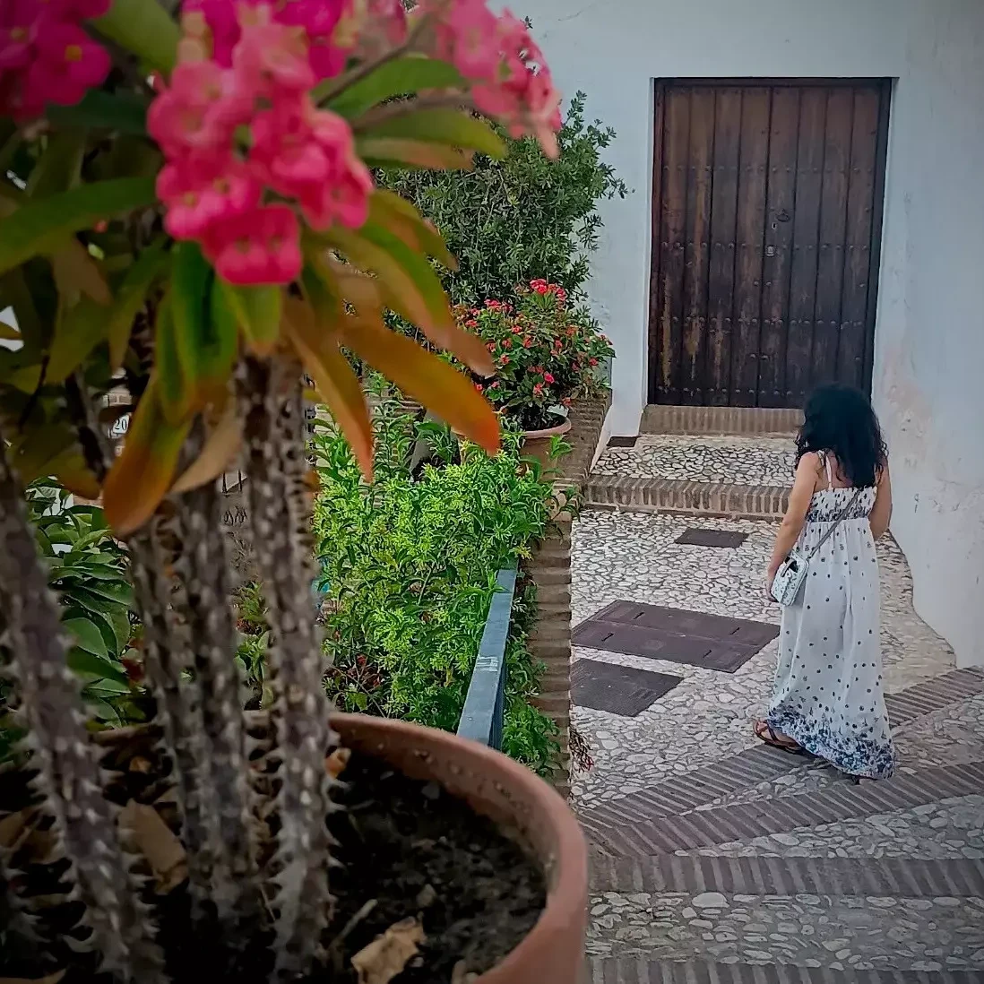 Conciertos Festival 3 Culturas Frigiliana