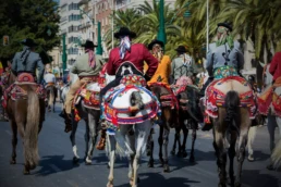 Programación Feria de Málaga 2025