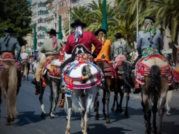 Programación Feria de Málaga 2025