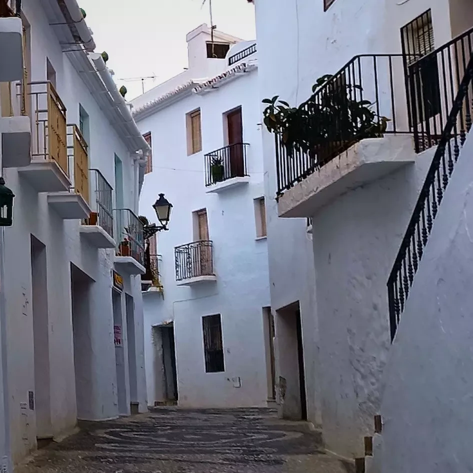 Programa 31 agosto Festival 3 Culturas