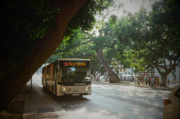 cómo ir a la feria de málaga en bus