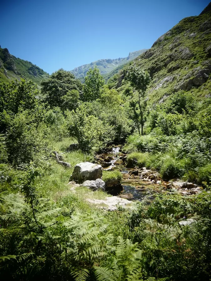 qué ver en los picos de europa