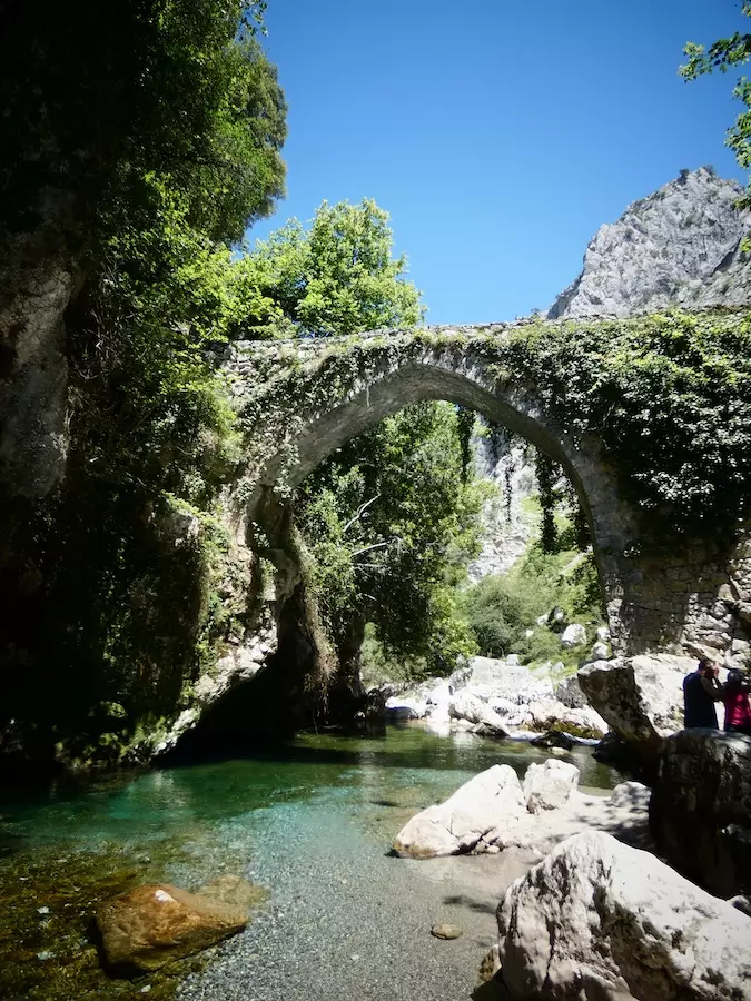 qué ver en los picos de europa
