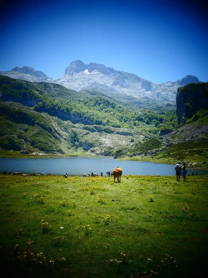 cómo llegar a los Lagos de Covadonga